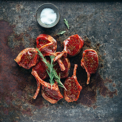 Aliquam convallis ligula nec nisl lacinia