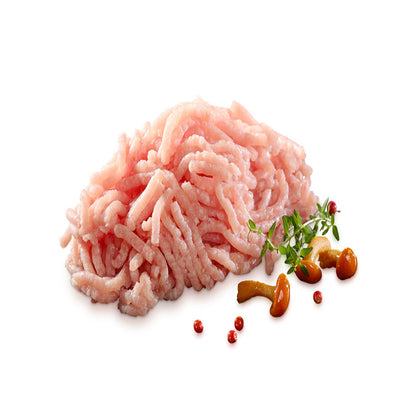 Duis suscipit id nisi commodo auctor